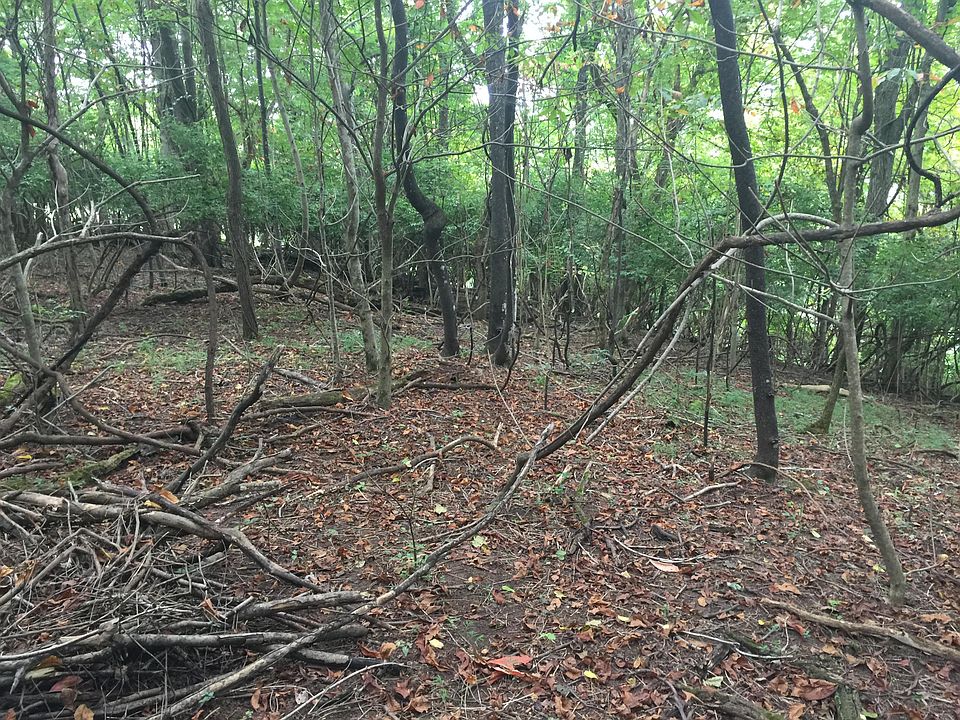 1st image of 0 Sycamore Shoals Dr #8