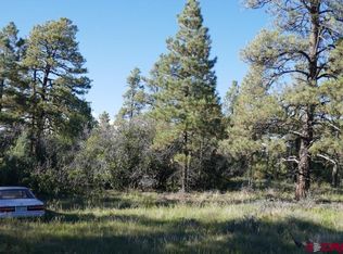 2201 Crooked Rd, Pagosa Springs, CO 81147