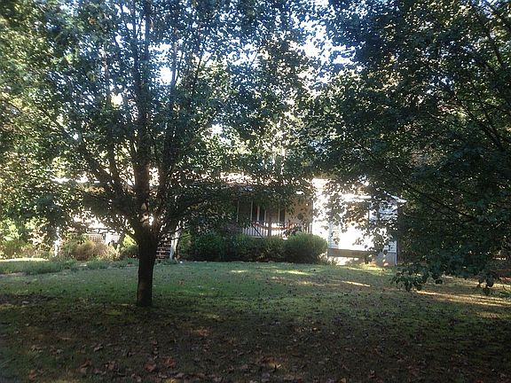 Lots of trees