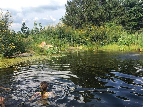 Natural swimming pool