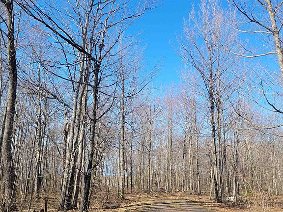 5th image of 10 Voyageur Rd