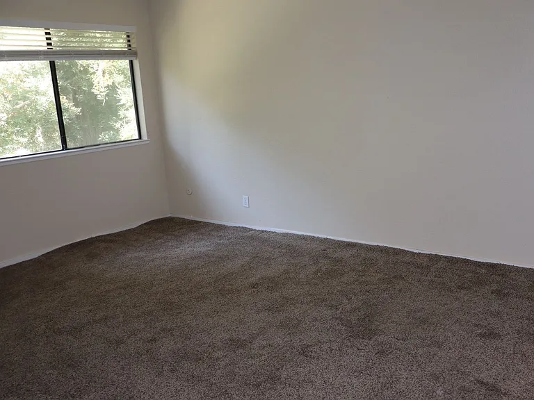 3008 Swallows Nest Dr — Photo 11