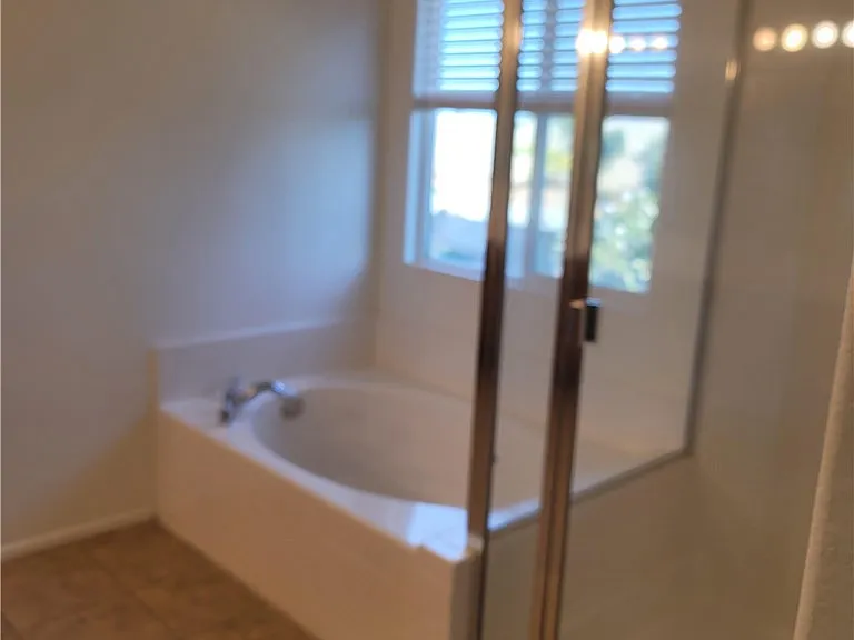 29153 Hydrangea St — Photo 14