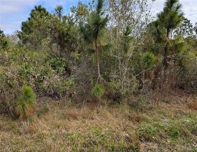 NE 1st Ter Lot 28-29, Okeechobee, FL, 34972