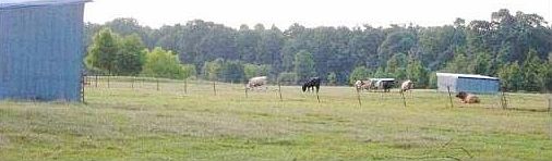 3rd image of 2070 County Road 3009