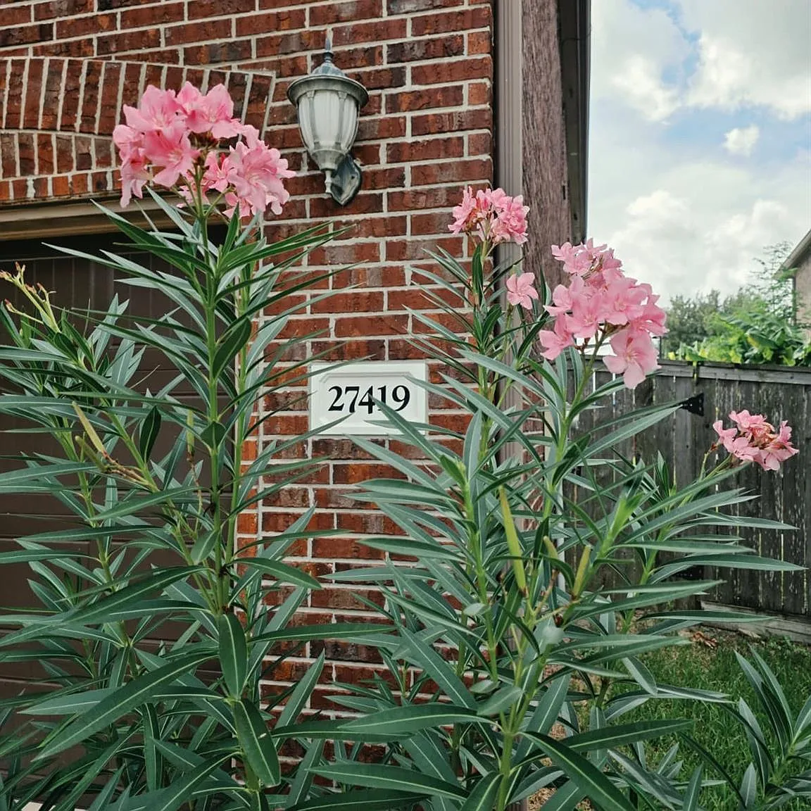 4 bed, 3.5 bath, 4224 sqft, $3,700 — Photo 3