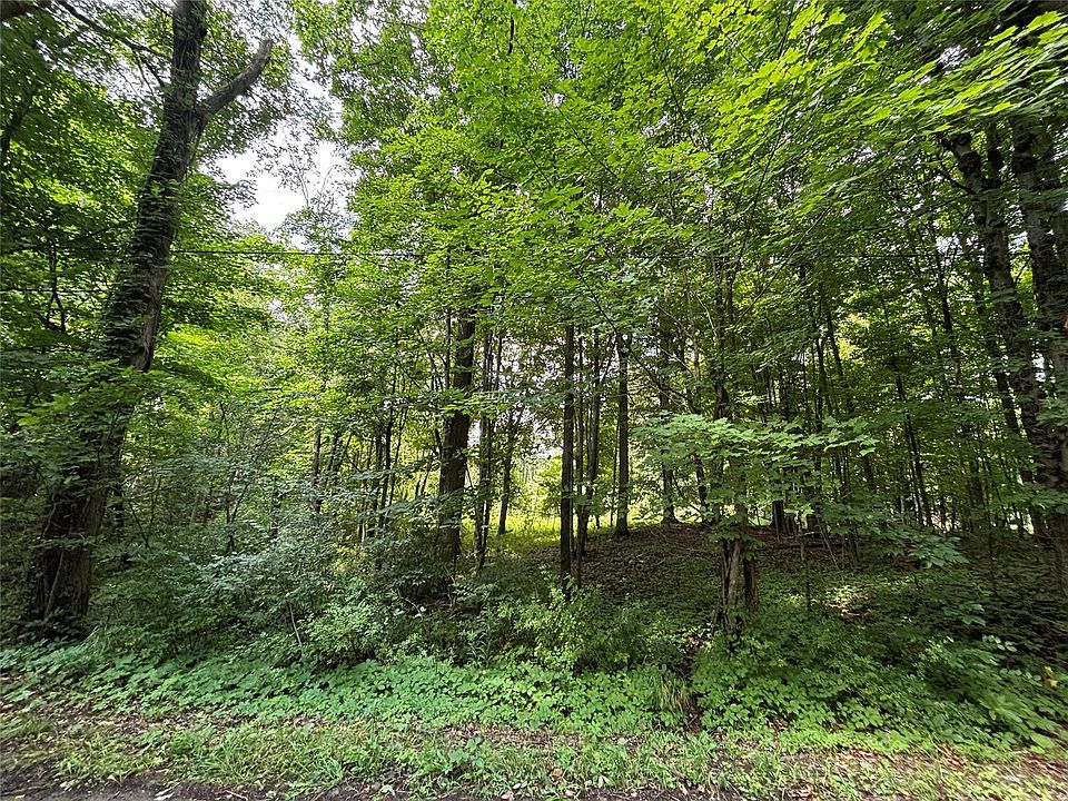 1st image of Maple Rd