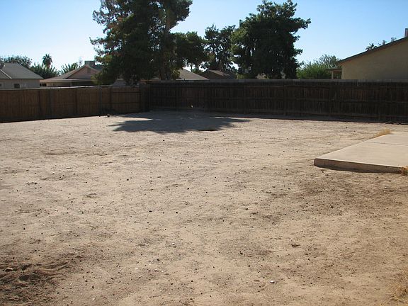 Backyard - Large lot 