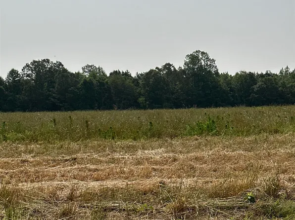 TRACT 33 Hays Mill Rd, Elkmont, AL 35620