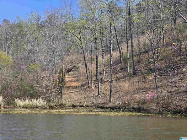 16 Eagle Point Trce, Rockford, AL 35136