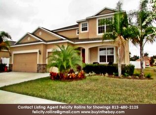 10741 Carloway Hills Dr, Wimauma, FL 33598