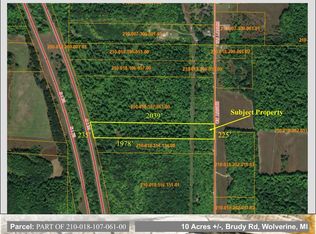 Brudy Rd, Wolverine, MI 49799