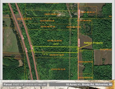 Brudy Rd, Wolverine, MI, 49799