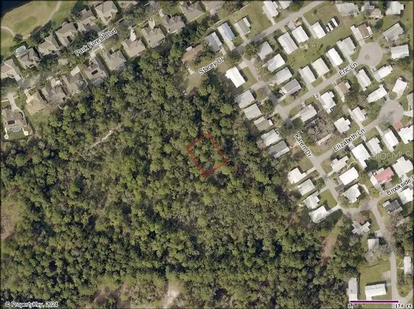 Stacey Dr #101, Mount Dora, FL 32757