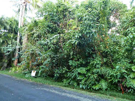 1st image of Namohalo Pl Lot 69