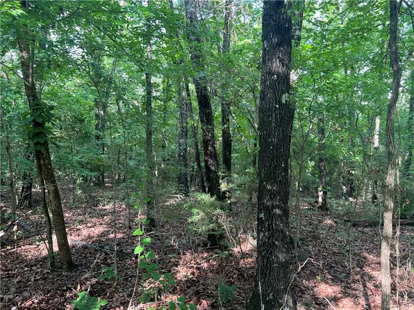 Grassy Gap Rd, Harrison, AR 72601