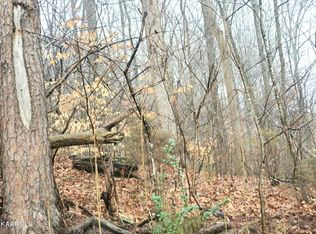 Turner Hollow Rd, Maynardville, TN 37807