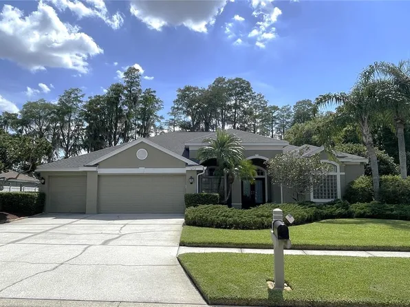 16912 Filly Ln, Odessa, FL 33556