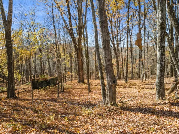 L39 McMurdy Hill Rd #3, Hobart, NY 13788
