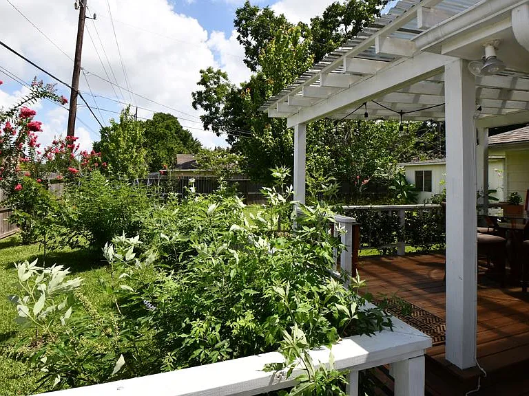 Camellia St — Photo 2