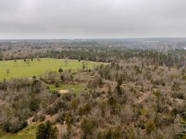 4 Bud Diamond Rd, Jay, FL 32565