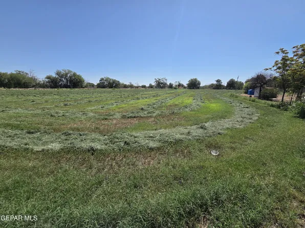Pn 220445 Borrego Rd, San Elizario, TX 79849