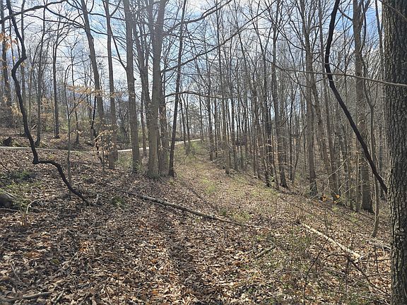 5th image of 3 Maple Grove Rd