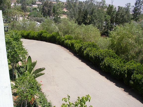 One of Two driveways