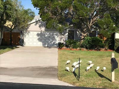 1200 NW 19th Ter, Delray Beach, FL, 33445