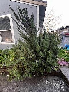 5th image of 6070 old redwood Highway #15