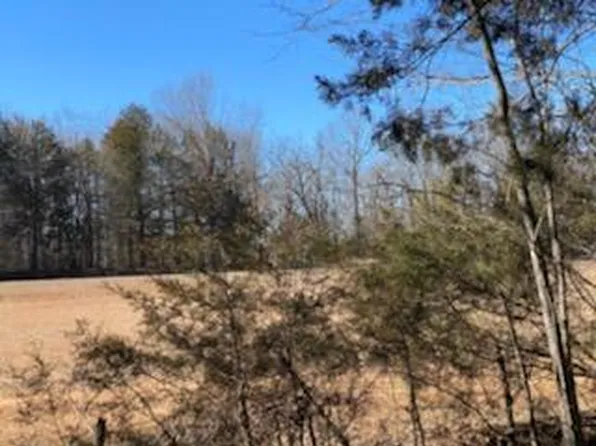 000 Eagle Ridge Road Lot 22, Protem, MO 65733