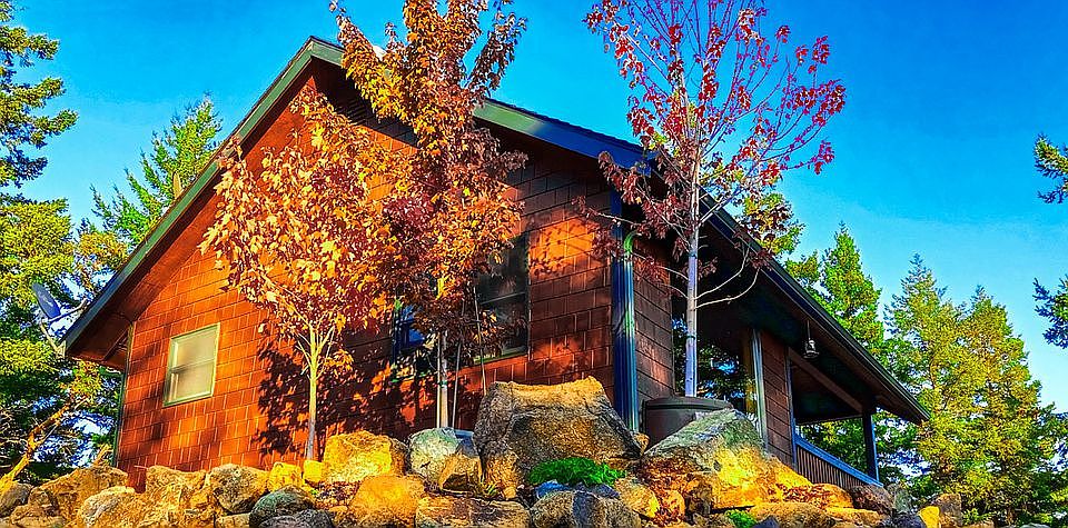 Maples with fall colors