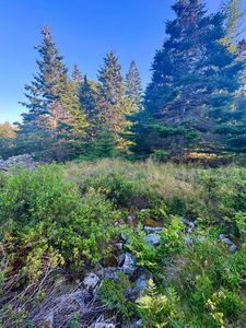 Lot #3 Pequot Road, Vinalhaven, ME, 04863