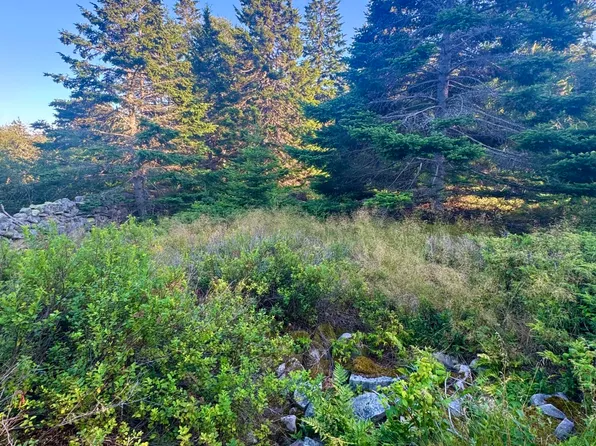 Lot #3 Pequot Road, Vinalhaven, ME 04863