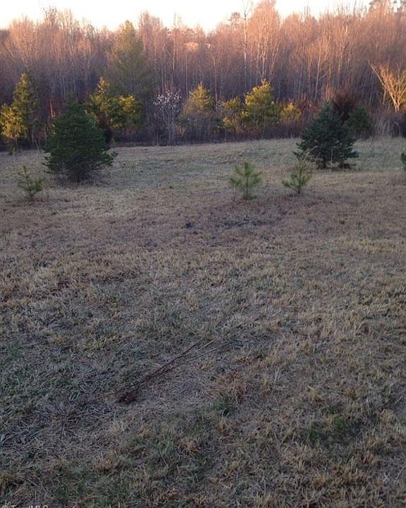 2nd image of Lot # 3 Ava Jane Lane