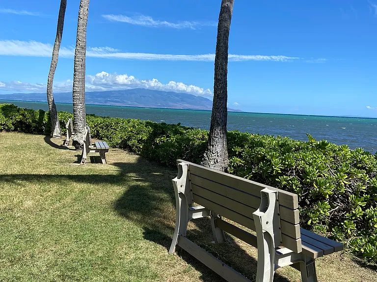 7146 Kamehameha V Hwy #C112 — Photo 18