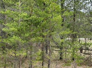 Vl 0 W Mile Rd #10-1/2, Irons, MI 49644