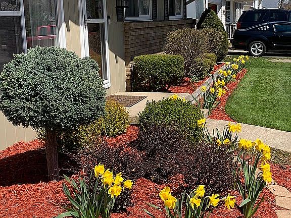 3rd image of 3117 Yorkshire Dr