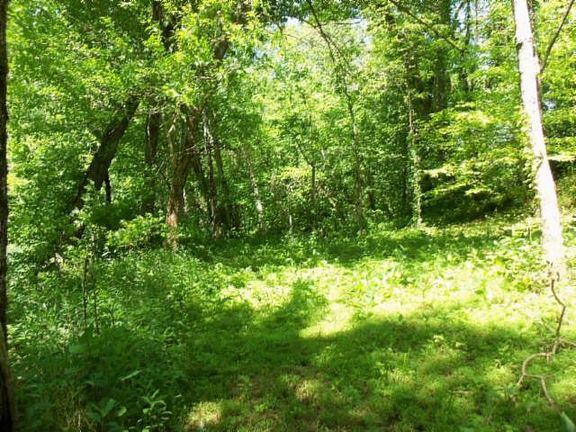 3rd image of Lot 23 Hiawassee Ln Lot 23