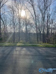 315 Kensington Dr SW, Madison, AL, 35758
