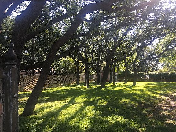 Back yard view from porch