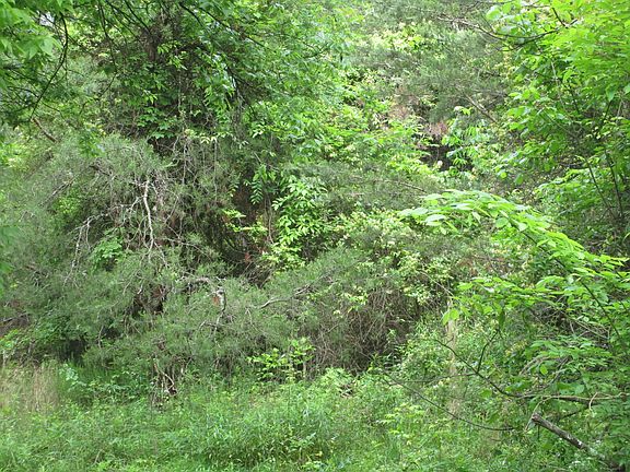 5th image of 1 Saddle Way Lot 1