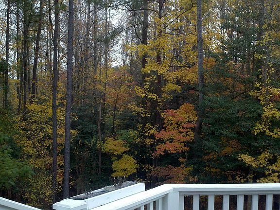 Backyard from deck