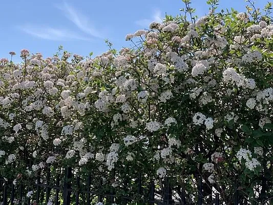 Sold by Remax Edge | media 26