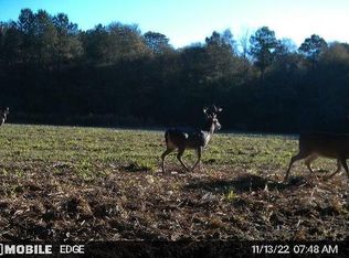 115 Jack Duncan Rd, Jayess, MS 39641