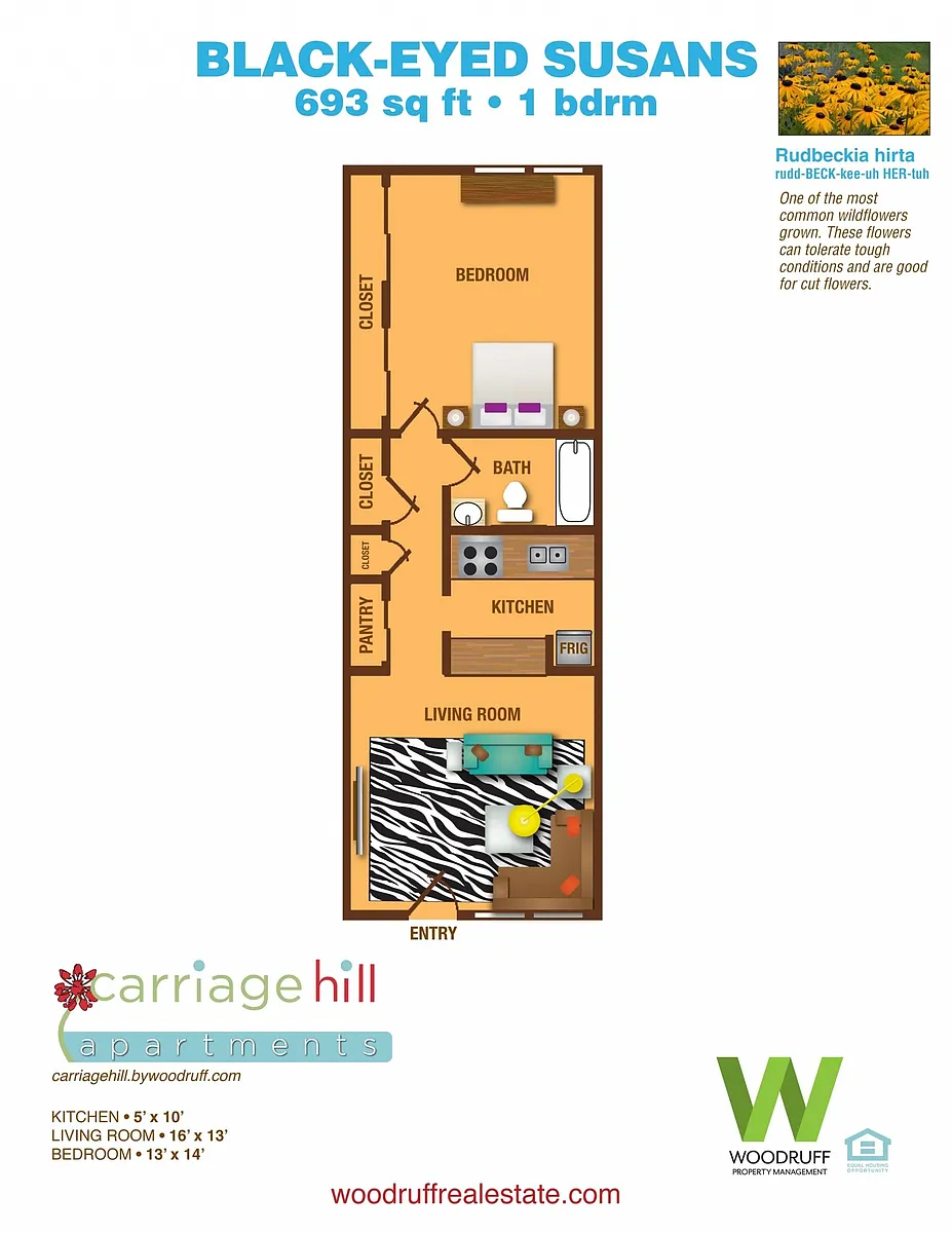 Floor plan 1X1 W/D Black-Eyed Susan (Renovated)