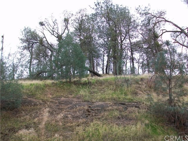 1st image of 6332 Coultrup Ln