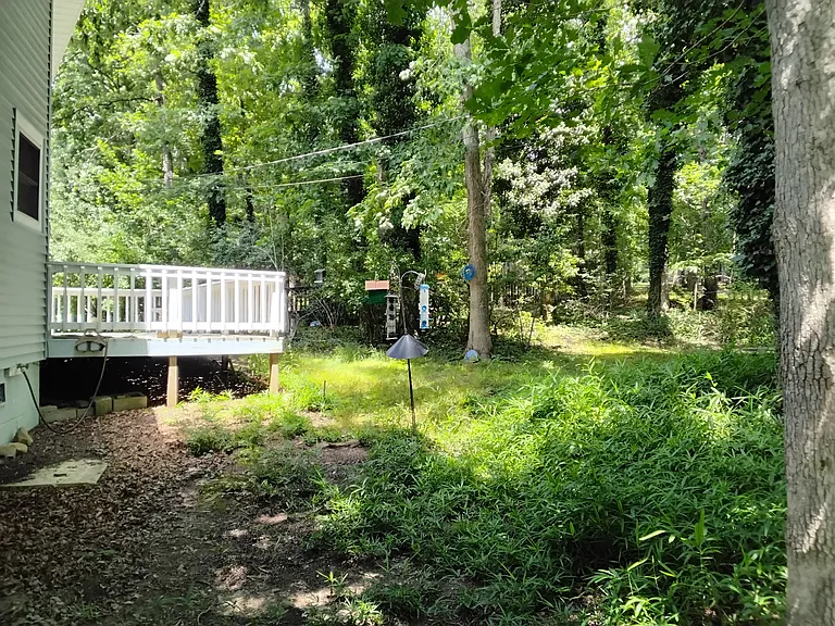 149 Jasper Dr — Photo 19