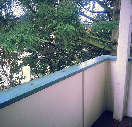 3rd image of 17624 1st Ave S #206