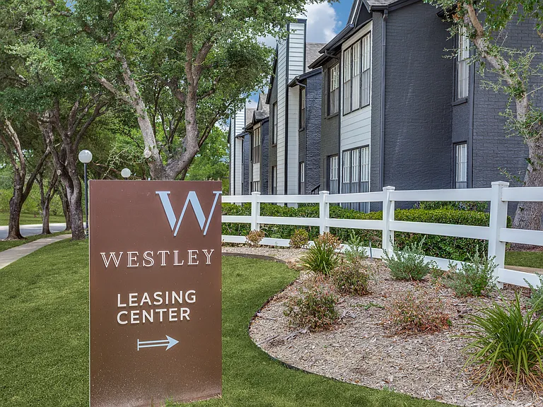 Westley — Photo 44